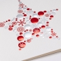 Biglietto Stella di Natale argento e rosso | Miniatura 2