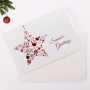 Biglietto Stella di Natale argento e rosso | Miniatura 1