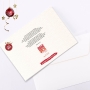 Biglietto Stella di Natale argento e rosso | Miniatura 4
