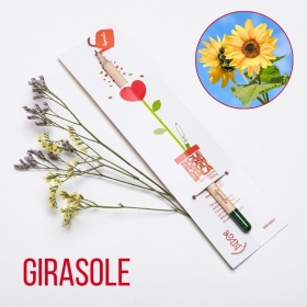 Matita Sprout Girasole