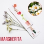 Matita Sprout Margherita, 5 pezzi