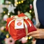 Panettone Solidale, 750g | Miniatura 1