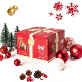 Panettone Solidale, 500g